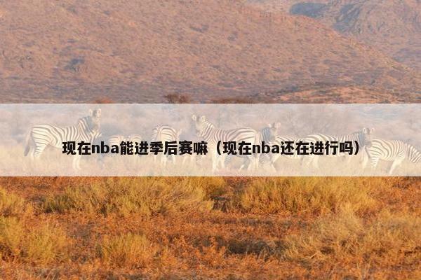 现在nba能进季后赛嘛（现在nba还在进行吗）