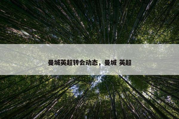 曼城英超转会动态,曼城 英超