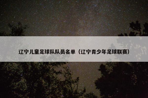 辽宁儿童足球队队员名单（辽宁青少年足球联赛）