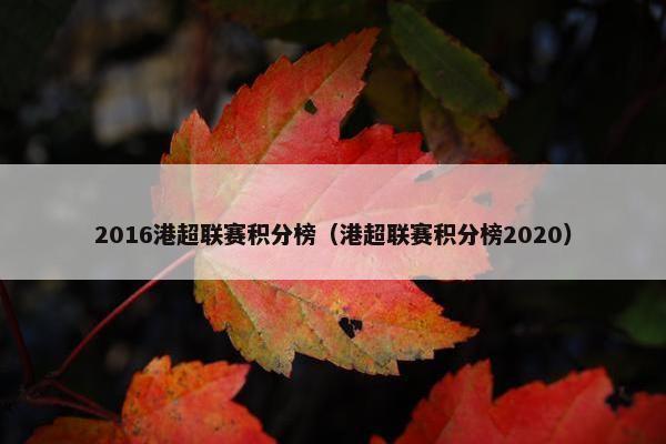 2016港超联赛积分榜（港超联赛积分榜2020）