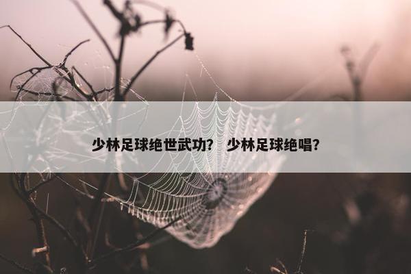 少林足球绝世武功？ 少林足球绝唱？