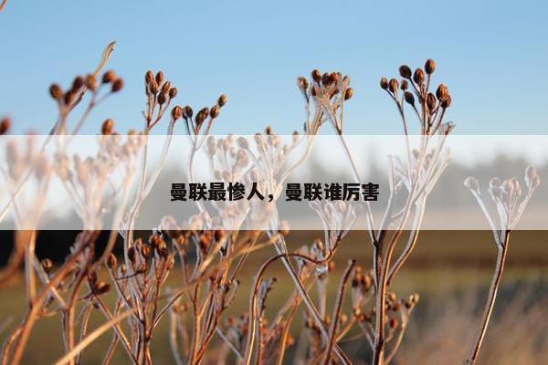曼联最惨人，曼联谁厉害