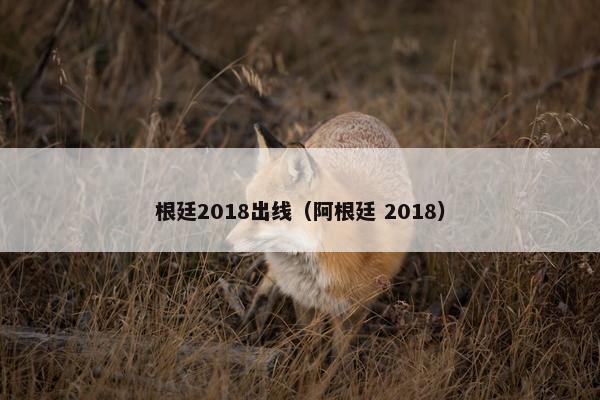 根廷2018出线（阿根廷 2018）
