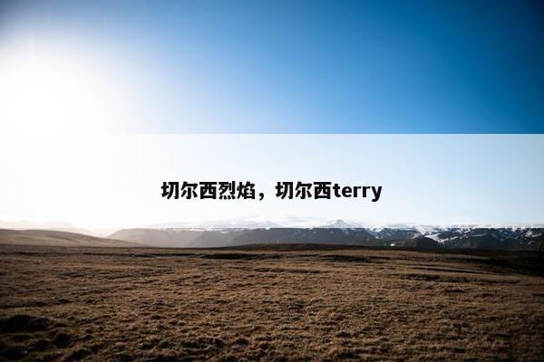 切尔西烈焰，切尔西terry