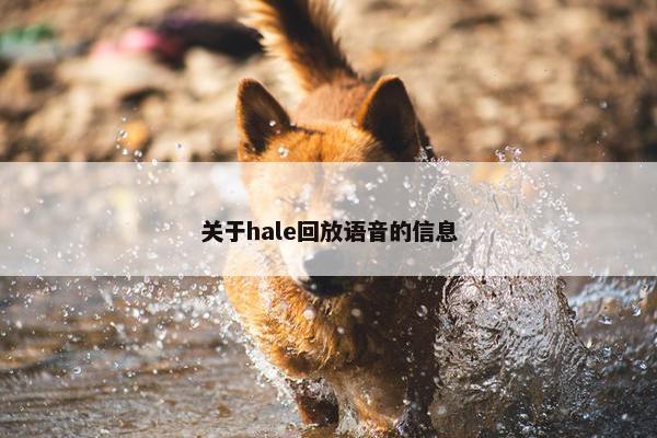关于hale回放语音的信息