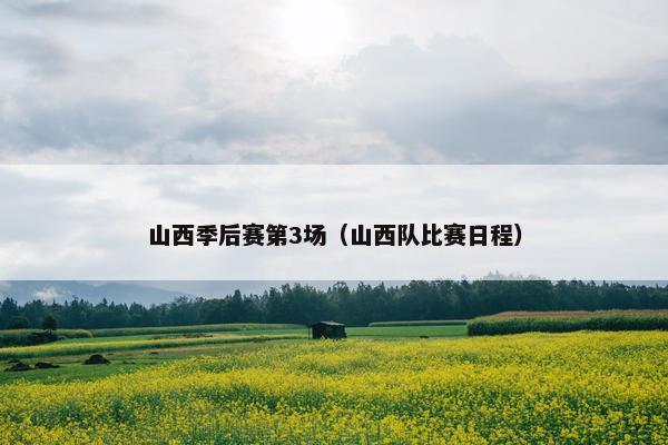 山西季后赛第3场（山西队比赛日程）