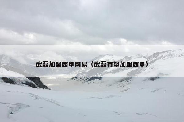 武磊加盟西甲网易（武磊有望加盟西甲）