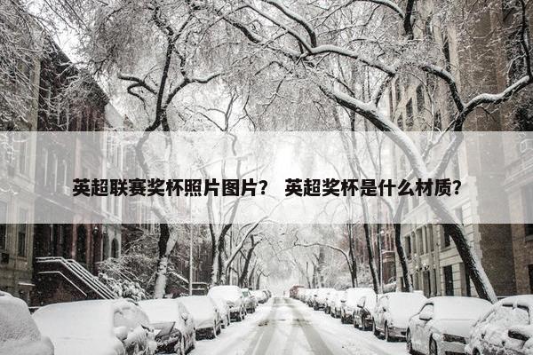 英超联赛奖杯照片图片？ 英超奖杯是什么材质？