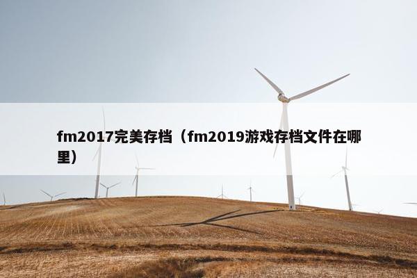 fm2017完美存档（fm2019游戏存档文件在哪里）