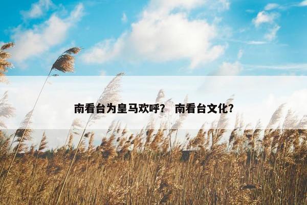 南看台为皇马欢呼？ 南看台文化？