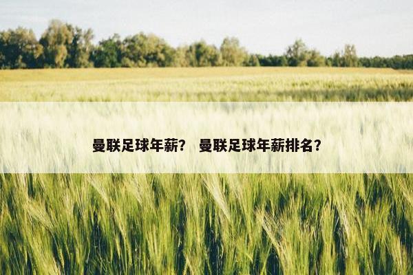 曼联足球年薪？ 曼联足球年薪排名？