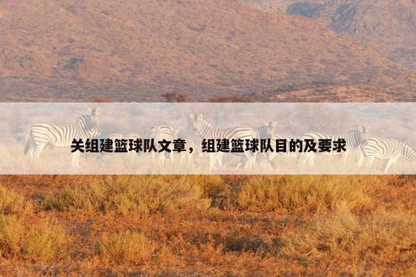 关组建篮球队文章，组建篮球队目的及要求