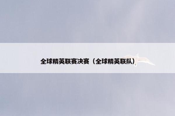 全球精英联赛决赛（全球精英联队）
