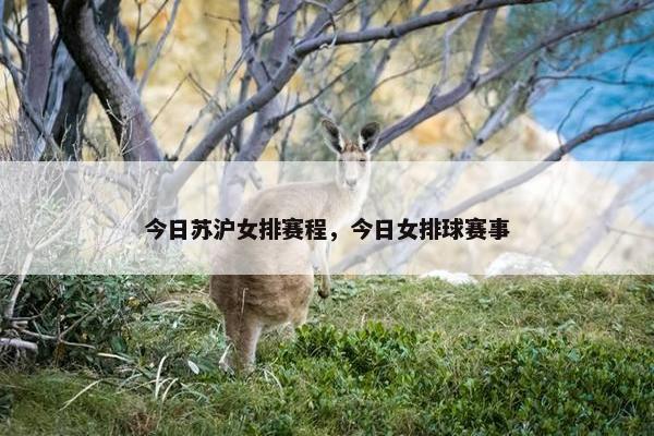 今日苏沪女排赛程,今日女排球赛事 今日苏沪女排赛程,今日女排球赛事