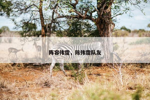 阵容伟霆，陈伟霆队友