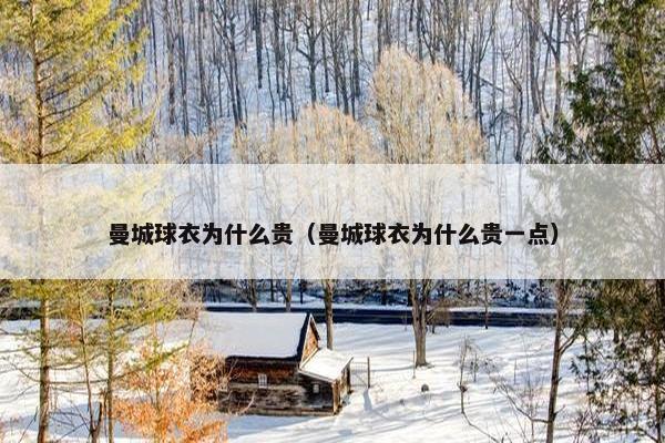 曼城球衣为什么贵（曼城球衣为什么贵一点）