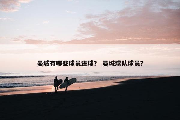 曼城有哪些球员进球？ 曼城球队球员？