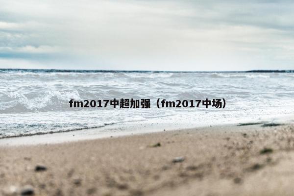 fm2017中超加强（fm2017中场）