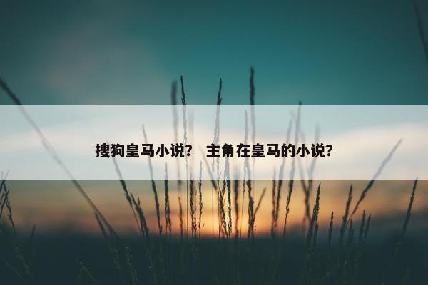 搜狗皇马小说？ 主角在皇马的小说？