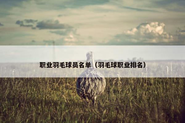 职业羽毛球员名单(羽毛球职业排名)