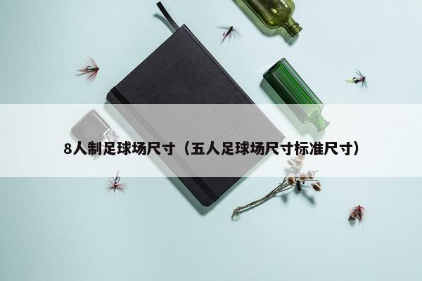 8人制足球场尺寸（五人足球场尺寸标准尺寸）