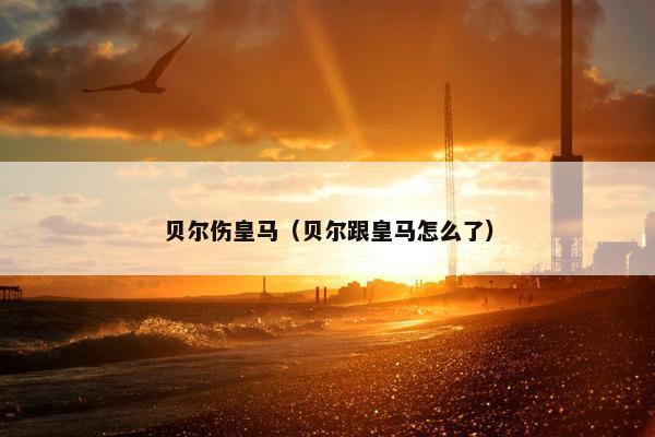 贝尔伤皇马（贝尔跟皇马怎么了）