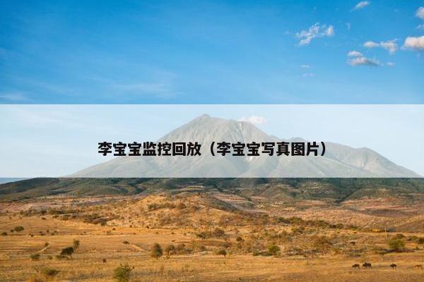 李宝宝监控回放（李宝宝写真图片）