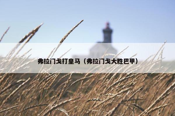 弗拉门戈打皇马（弗拉门戈大胜巴甲）