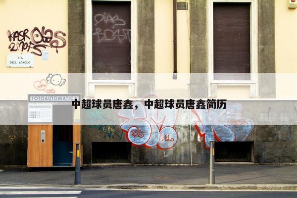 中超球员唐鑫，中超球员唐鑫简历