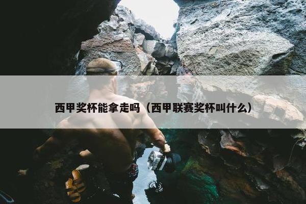 西甲奖杯能拿走吗（西甲联赛奖杯叫什么）