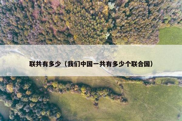 联共有多少（我们中国一共有多少个联合国）