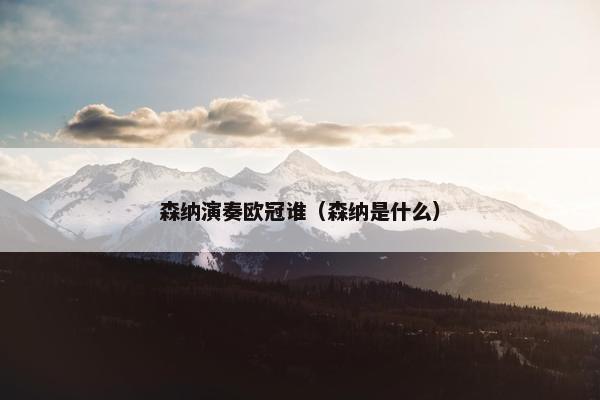 森纳演奏欧冠谁（森纳是什么）