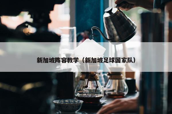 新加坡阵容教学（新加坡足球国家队）