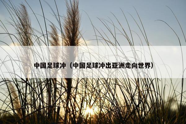 中国足球冲（中国足球冲出亚洲走向世界）