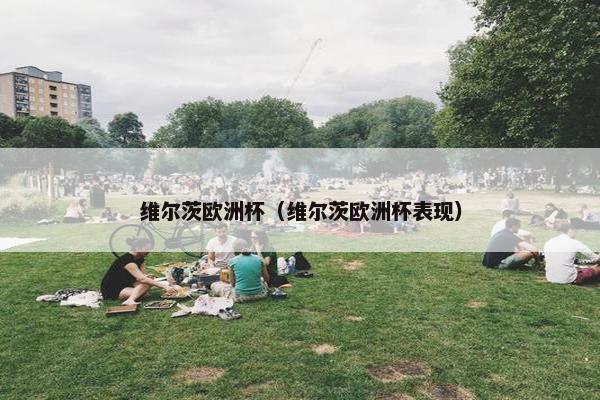 维尔茨欧洲杯（维尔茨欧洲杯表现）