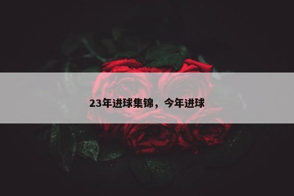 23年进球集锦，今年进球