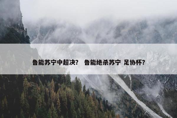 鲁能苏宁中超决？ 鲁能绝杀苏宁 足协杯？