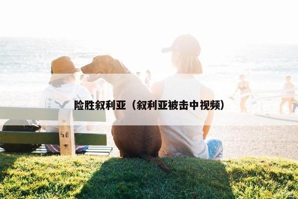 险胜叙利亚（叙利亚被击中视频）
