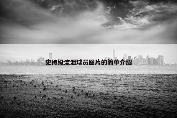 史诗级流泪球员图片的简单介绍