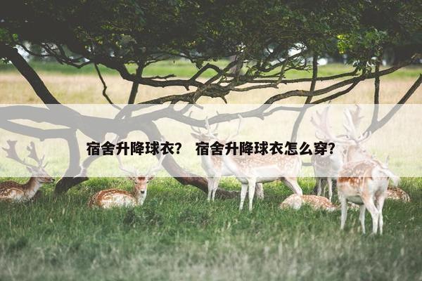 宿舍升降球衣？ 宿舍升降球衣怎么穿？