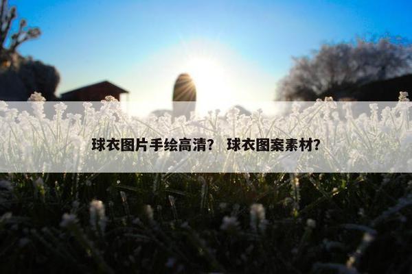 球衣图片手绘高清？ 球衣图案素材？