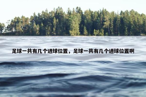 足球一共有几个进球位置，足球一共有几个进球位置啊