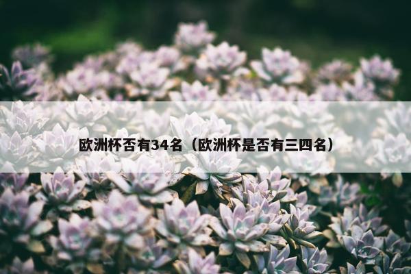 欧洲杯否有34名（欧洲杯是否有三四名）
