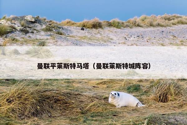 曼联平莱斯特马塔（曼联莱斯特城阵容）