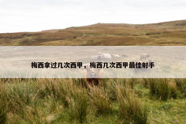 梅西拿过几次西甲，梅西几次西甲最佳射手