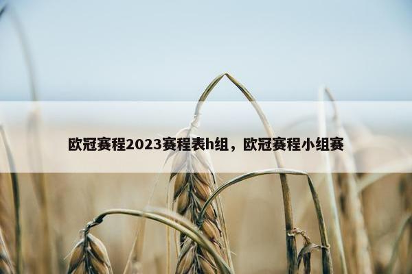 欧冠赛程2023赛程表h组，欧冠赛程小组赛