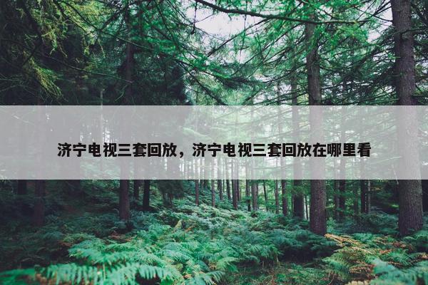 济宁电视三套回放，济宁电视三套回放在哪里看