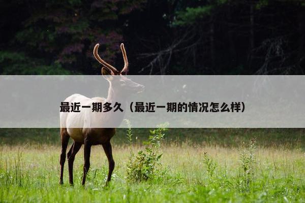 最近一期多久（最近一期的情况怎么样）