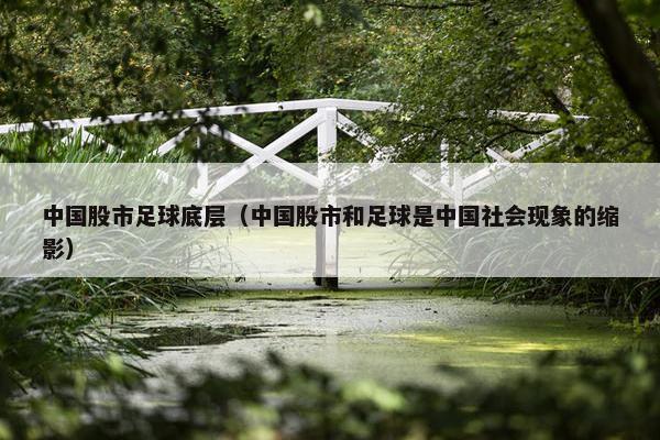 中国股市足球底层（中国股市和足球是中国社会现象的缩影）