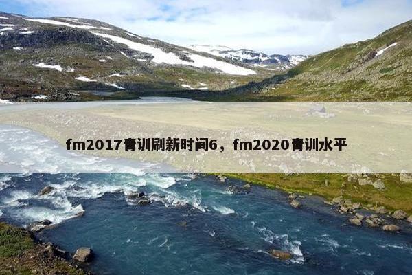 fm2017青训刷新时间6，fm2020青训水平